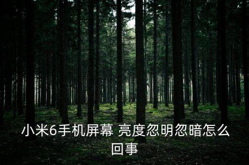 小米6自動亮度調(diào)節(jié)校準(zhǔn),小米10自動亮度調(diào)節(jié)失效