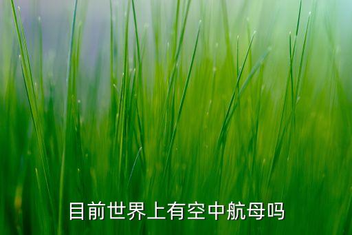目前世界上有空中航母嗎