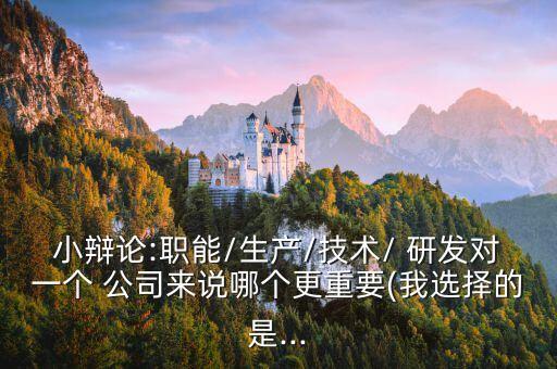 小辯論:職能/生產(chǎn)/技術/ 研發(fā)對一個 公司來說哪個更重要(我選擇的是...