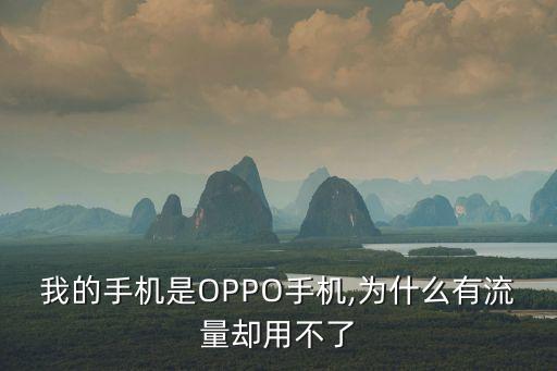 我的手機(jī)是OPPO手機(jī),為什么有流量卻用不了