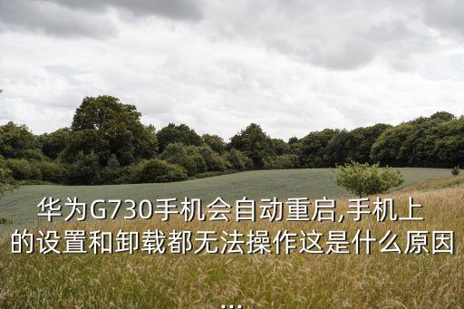華為G730手機(jī)會自動重啟,手機(jī)上的設(shè)置和卸載都無法操作這是什么原因...