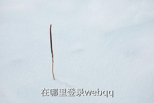 webqq登陸，在哪里登錄webqq