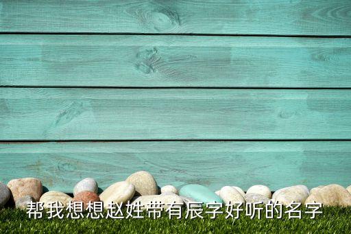 幫我想想趙姓帶有辰字好聽(tīng)的名字