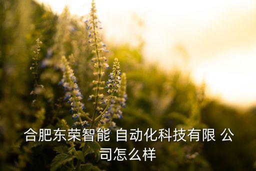  合肥東榮智能 自動化科技有限 公司怎么樣