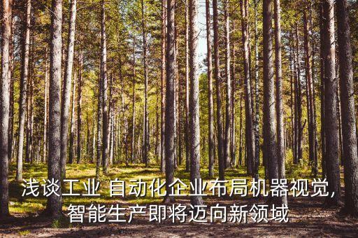 淺談工業(yè) 自動(dòng)化企業(yè)布局機(jī)器視覺,智能生產(chǎn)即將邁向新領(lǐng)域
