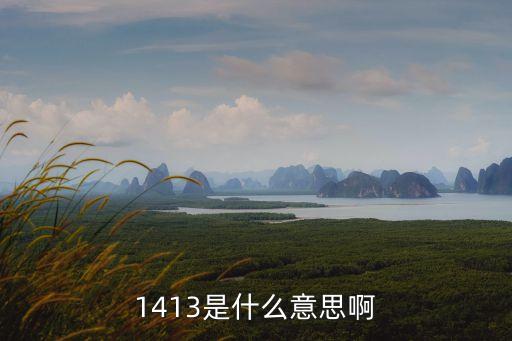 1413，1413什么意思
