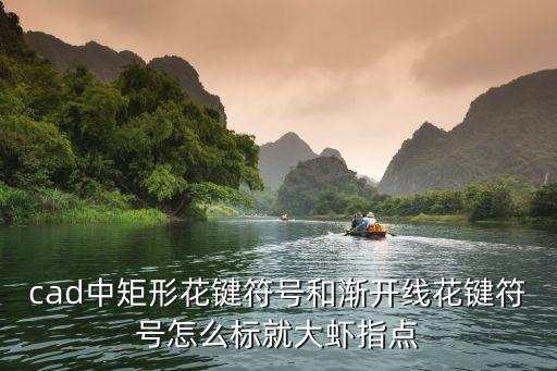 cad中矩形花鍵符號(hào)和漸開線花鍵符號(hào)怎么標(biāo)就大蝦指點(diǎn)