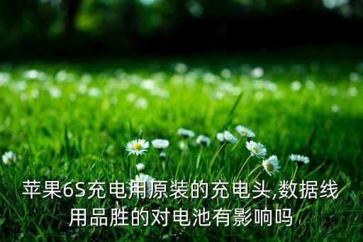 蘋果6S充電用原裝的充電頭,數(shù)據(jù)線用品勝的對(duì)電池有影響嗎