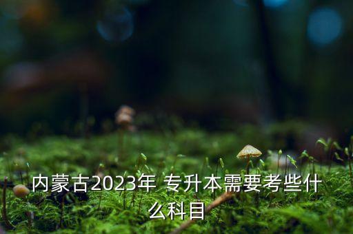 內(nèi)蒙古2023年 專升本需要考些什么科目