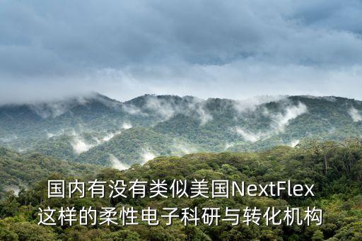 國內(nèi)有沒有類似美國NextFlex這樣的柔性電子科研與轉(zhuǎn)化機(jī)構(gòu)
