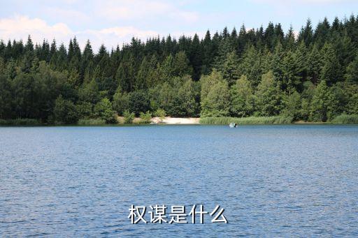 權(quán)謀是什么
