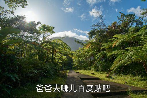 爸爸去哪兒百度貼吧