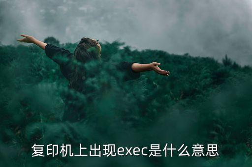 exec，請(qǐng)教asp里exec和sql有什么區(qū)別