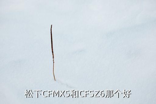 松下CFMX5和CFSZ6那個好