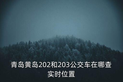 公交車數(shù)據(jù),實時公交查詢軟件隨時隨地查公交車到站時間