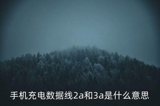 手機充電數(shù)據(jù)線2a和3a是什么意思