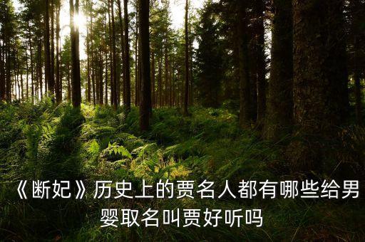 《斷妃》歷史上的賈名人都有哪些給男嬰取名叫賈好聽嗎