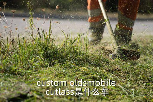 custom oldsmobile cutlass是什么車(chē)
