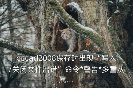 pccad2008保存時(shí)出現(xiàn)“寫入/關(guān)閉文件出錯(cuò)”命令*警告*多重從屬...