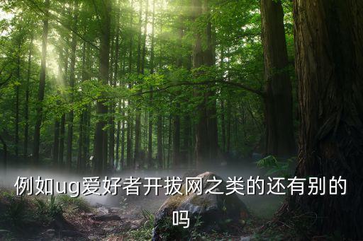 例如ug愛(ài)好者開(kāi)拔網(wǎng)之類的還有別的嗎