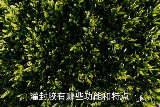 灌封膠有哪些功能和特點(diǎn)