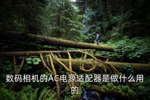 AC適配器，數(shù)碼相機(jī)的AC電源適配器是什么作用