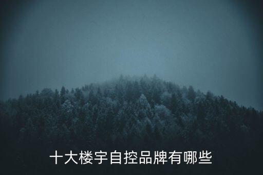 十大樓宇自控品牌有哪些