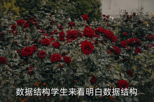 數(shù)據(jù)結(jié)構(gòu)學(xué)生來(lái)看明白數(shù)據(jù)結(jié)構(gòu)