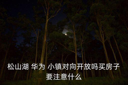 松山湖 華為 小鎮(zhèn)對(duì)向開放嗎買房子要注意什么