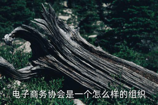 電子協(xié)會(huì)，電子商務(wù)協(xié)會(huì)是一個(gè)怎么樣的組織