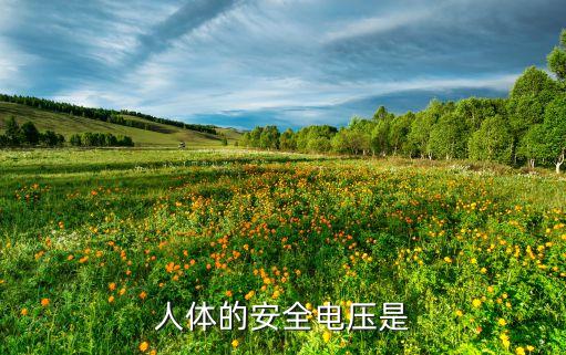 人體的安全電壓是