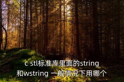 c stl標準庫里面的string和wstring 一般情況下用哪個