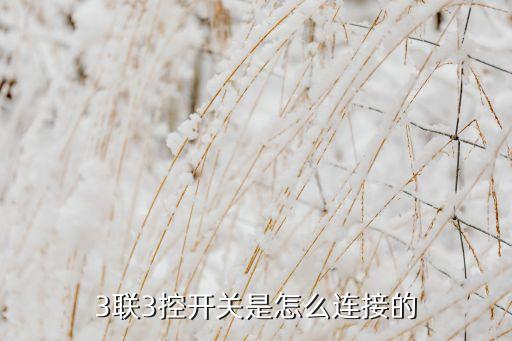 3聯(lián)3控開關(guān)是怎么連接的
