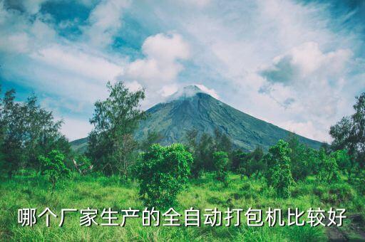 哪個廠家生產(chǎn)的全自動打包機比較好