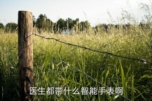 醫(yī)生都帶什么智能手表啊