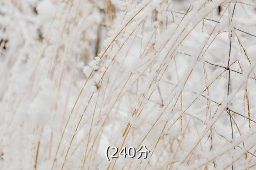 (240分