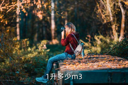 1升多少m3
