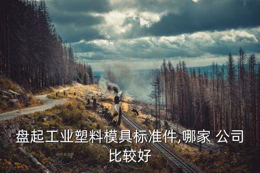 盤起工業(yè)塑料模具標(biāo)準(zhǔn)件,哪家 公司比較好
