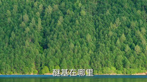 醚基在哪里