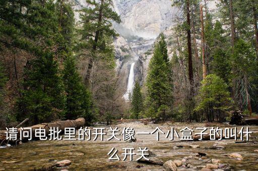 小型微動(dòng)開(kāi)關(guān)，請(qǐng)問(wèn)電批里的開(kāi)關(guān)像一個(gè)小盒子的叫什么開(kāi)關(guān)