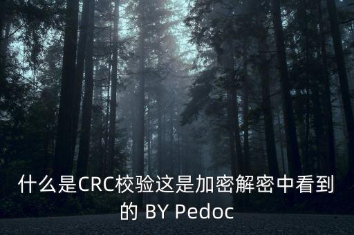 什么是CRC校驗這是加密解密中看到的 BY Pedoc