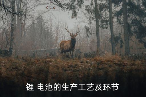 鋰電池極板自動化設(shè)備,圓柱鋰電池自動化設(shè)備