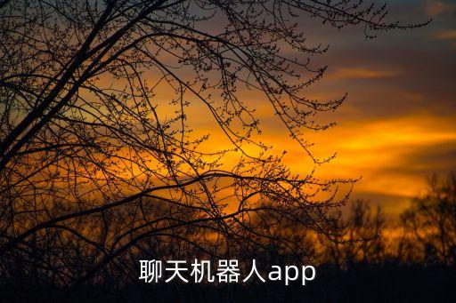 聊天機器人app