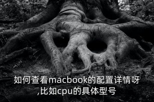 如何查看macbook的配置詳情呀,比如cpu的具體型號(hào)
