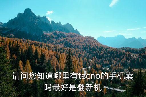 請(qǐng)問(wèn)您知道哪里有tecno的手機(jī)賣(mài)嗎最好是翻新機(jī)
