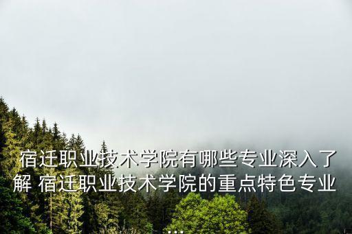  宿遷職業(yè)技術(shù)學(xué)院有哪些專業(yè)深入了解 宿遷職業(yè)技術(shù)學(xué)院的重點(diǎn)特色專業(yè)...