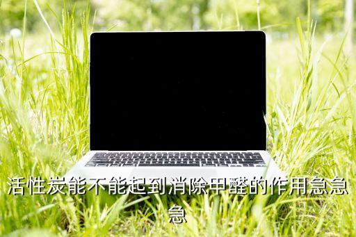 活性炭能不能起到消除甲醛的作用急急急