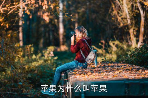 為什么蘋果，蘋果為什么叫蘋果