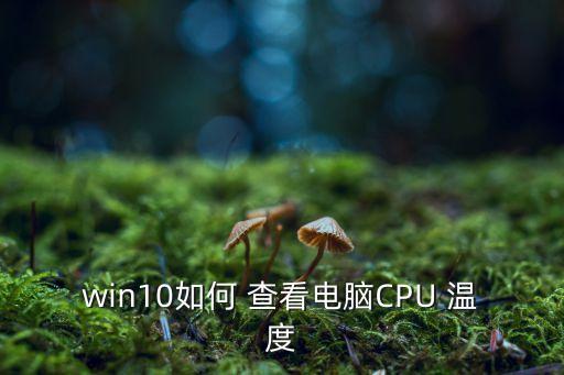 cpu溫度查看,Cpu溫度查看不用第三方軟件