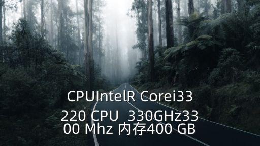 CPUIntelR Corei33220 CPU  330GHz3300 Mhz 內(nèi)存400 GB